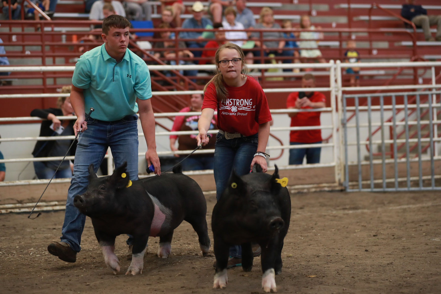 071119_HallCoFair14_bjs.JPG
